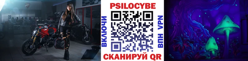 Купить  Красный Кут  Галлюциногенные грибы мицелий 